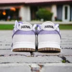 Stylish Nike SB Dunk Low Shoes For Men (BSF1036)