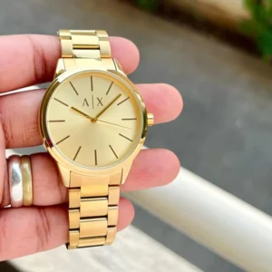 Premium Armani Exchange Watch For Men (SW6022)