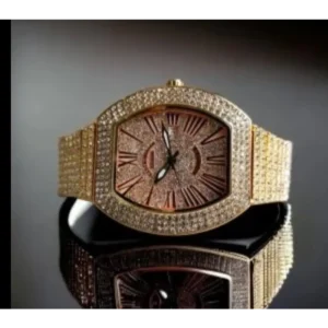 Stylish Frank Muller Watch For Men (CS4192)