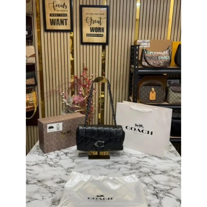 Stylish Coach Handbag For Women (SW2151)