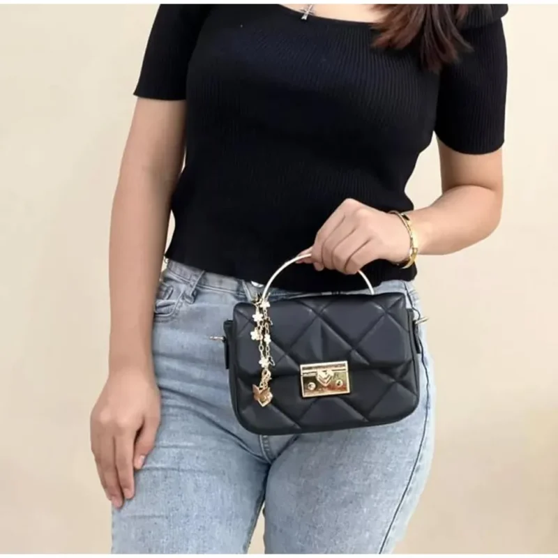 101-19.webp Charles & Keith Handbag For Women (SUP1256)