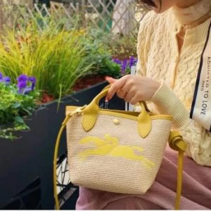 Long Champ Handbag For Women (PH58)