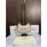 Premium Coach Sling Bag With Folding Box For Women (SL1093)
