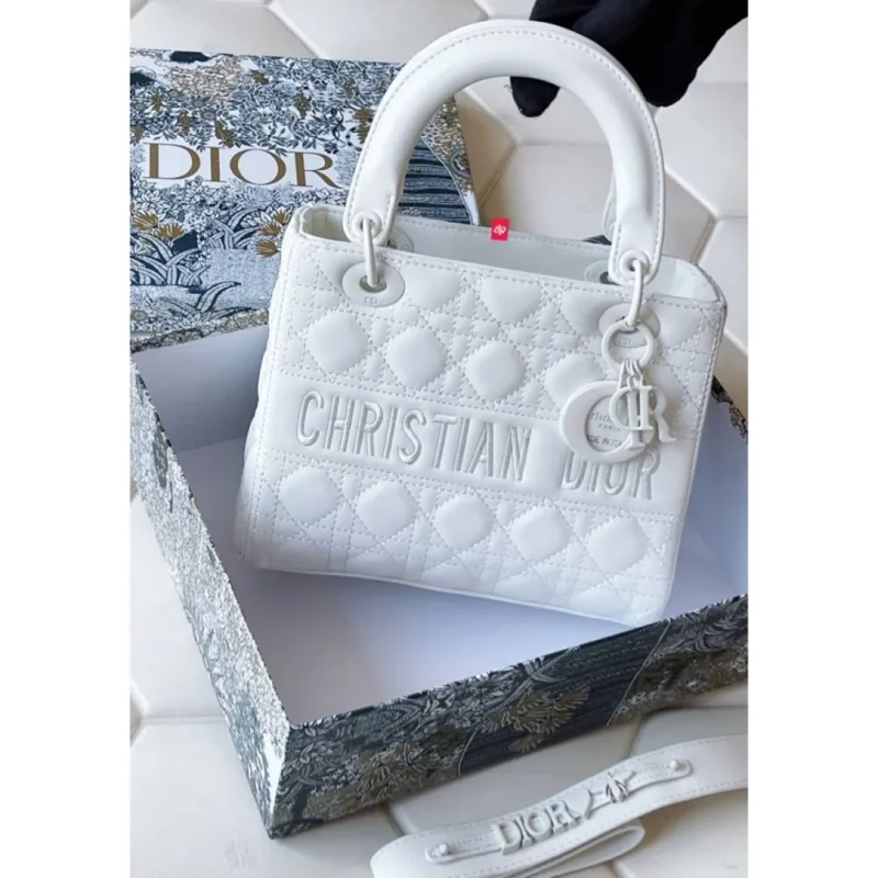 Stylish Dior Handbag With Og Box And Dust Bag For Women (CSO1495)