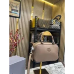 Coach Handbag For Women (FT256)