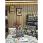 Dior Handbag For Women (FT259)
