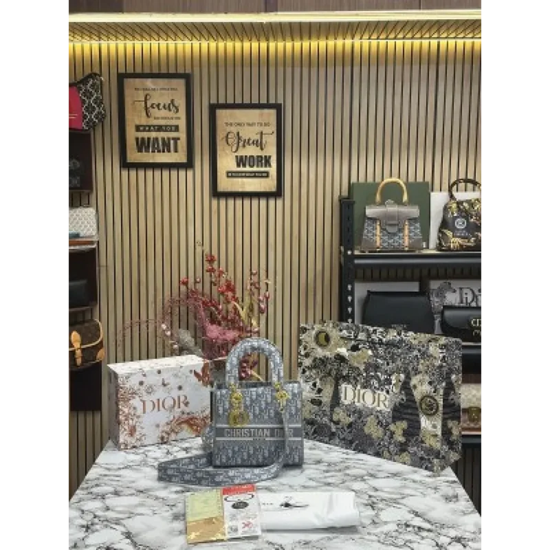Dior Handbag For Women (FT259)