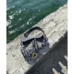 Trendy Christian Dior Saddle Bag With Og Box For Women (FT1025)