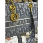 Dior Handbag For Women (FT259)