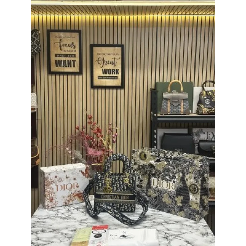 Dior Handbag For Women (FT260)
