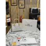 Coach Handbag For Women (FT262)
