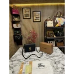 Burberry Handbag For Women (FT264)
