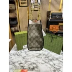 Gucci Handbag For Women (SW1170)