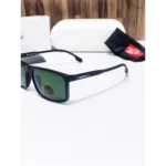 Rayban Sunglasses (CSO1743)