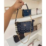 Coach Handbag For Women (FT272)