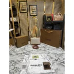 Premium Burberry Shoulder Bag With Box And Dust Bag For Women (SL1124)