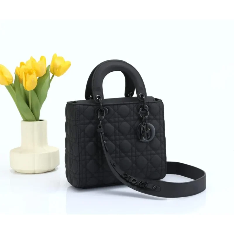Dior Handbag For Women