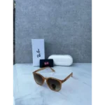 Premium Rayban Sunglasses (SW2107)