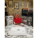 Premium Christian Dior Tote Bag With Box Dust Bag For Women (SL1139)