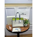 Coach Handbag For Women (FT299)