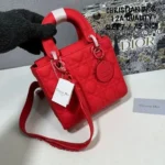 Christian Dior Handbag For Women (SW1187)