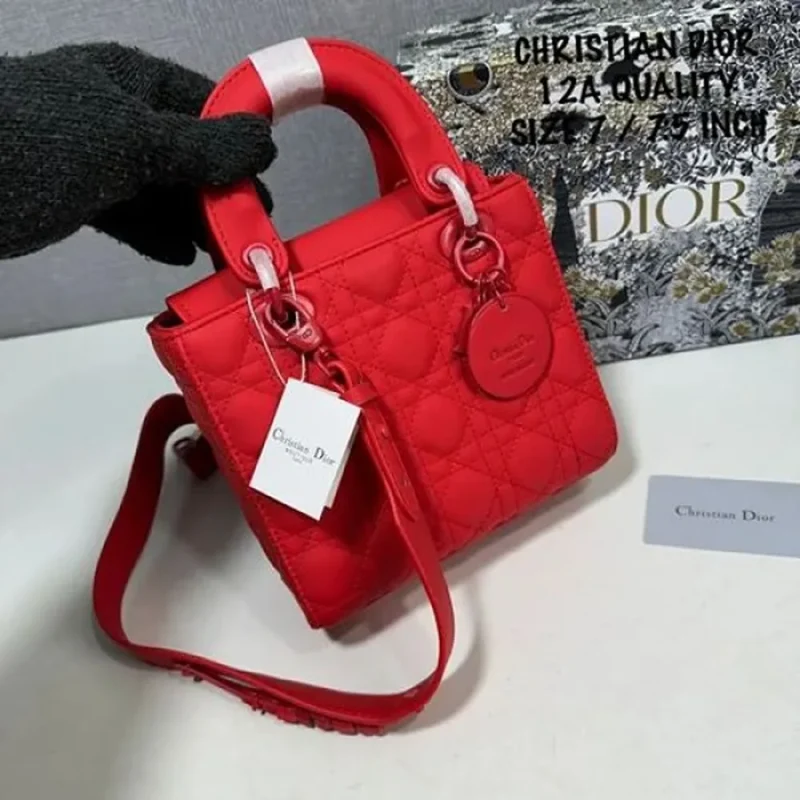 Christian Dior Handbag For Women (SW1187)