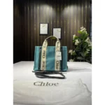 Chloe Canvas Handbag For Women (BOT2242)