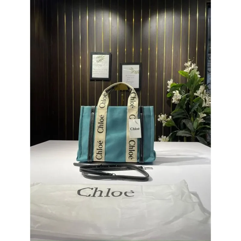 Chloe Canvas Handbag For Women (BOT2242)