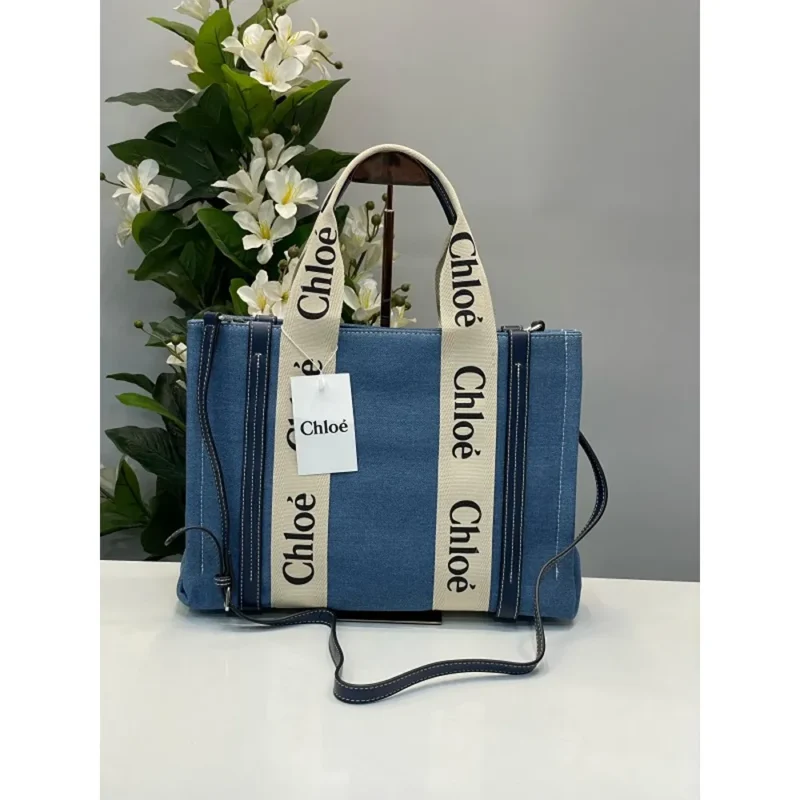 Chloe Canvas Handbag For Women (BOT2243)