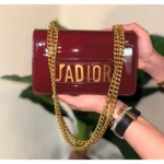 Premium Christian Dior Leather Shoulder Bag With Box For Women (SL1062)