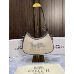 Premium Coach Sling Bag With Folding Box For Women (TB65)