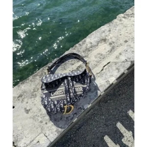 Dior Handbag For Women (SUP1202)