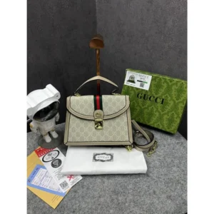Gucci Handbag For Women (BOT2300)