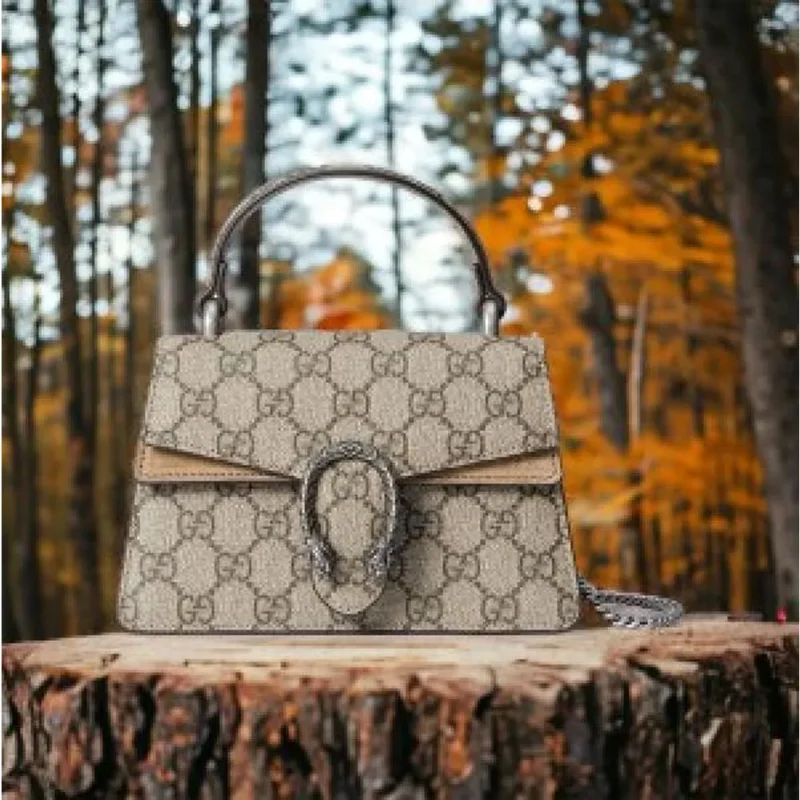 Gucci Handbag For Women (PH18)