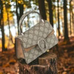 Gucci Handbag For Women (PH18)