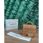 Trendy Christian Dior Mini Bag With Og Box & Dust Bag For Women (CSO1461)