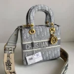 Christion Dior Handbag For Women (BOT940)