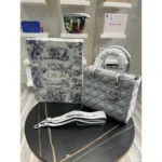 Christian Dior Handbag For Women (SW1200)