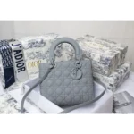 Christian Dior Handbag For Women (SW1200)