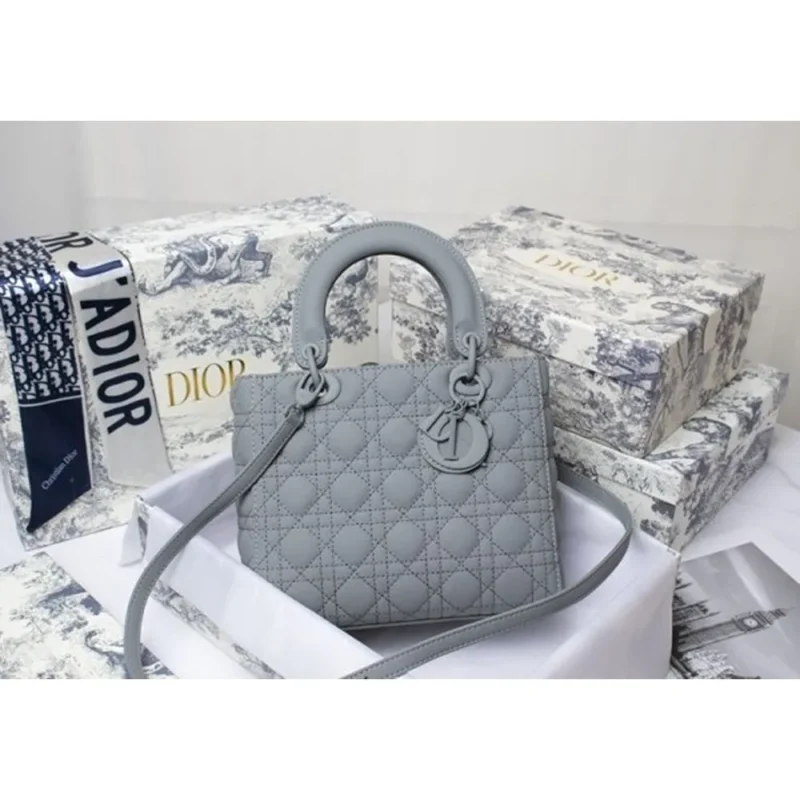 Christian Dior Handbag For Women (SW1200)