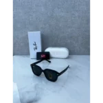 Premium Rayban Sunglasses (SW2117)