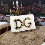 Dolce & Gabbana Handbag For Women (FT202)