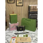 Gucci Handbag For Women (FT225)