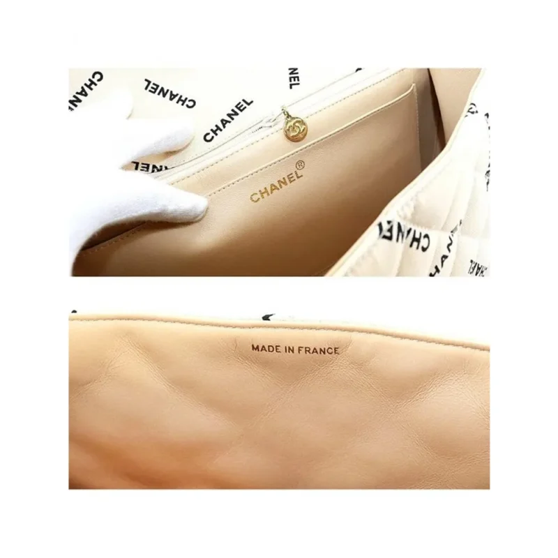 Chanel Handbag For Women (SW1206)