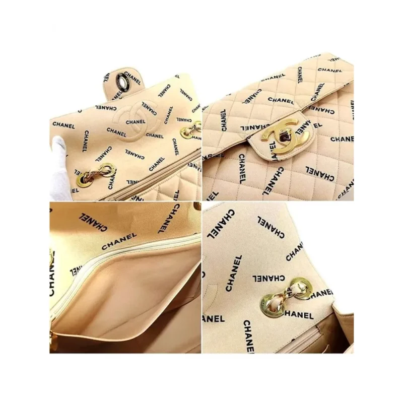 Chanel Handbag For Women (SW1206)