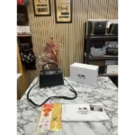 Coach Handbag For Women (FT227)