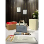 Coach Handbag For Women (BOT856)