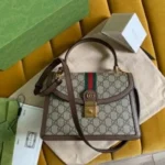 Gucci Handbag For Women (BOT1107)