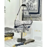 Christian Dior Handbag For Women (CSO1174)