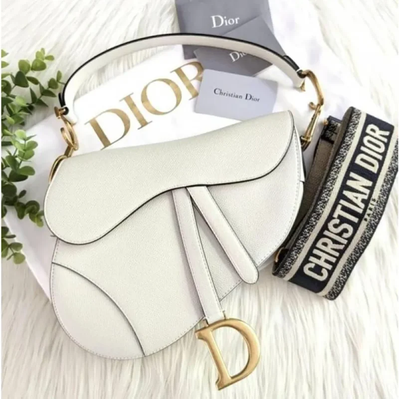 Dior Handbag For Women (CSO1176)
